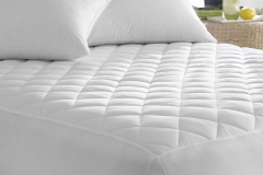 MATTRESS PROTECTOR